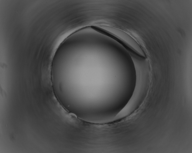 X0000090960816200708021415