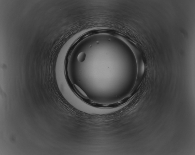 X0000090960818200708021414
