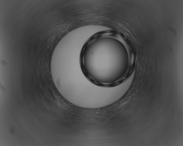 X0000090960820200708021414