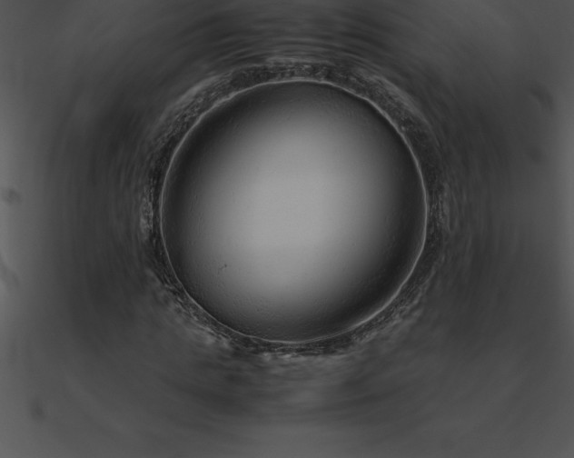 X0000090960821200708021414