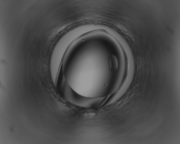 X0000090960822200708021414