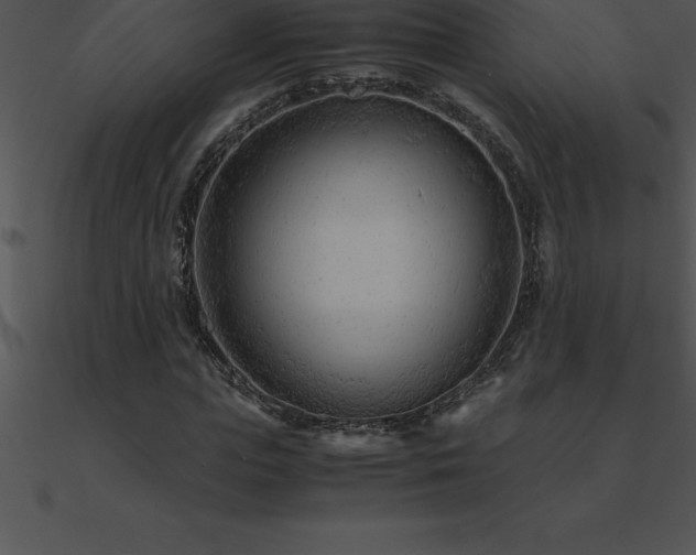 X0000090960823200708021414