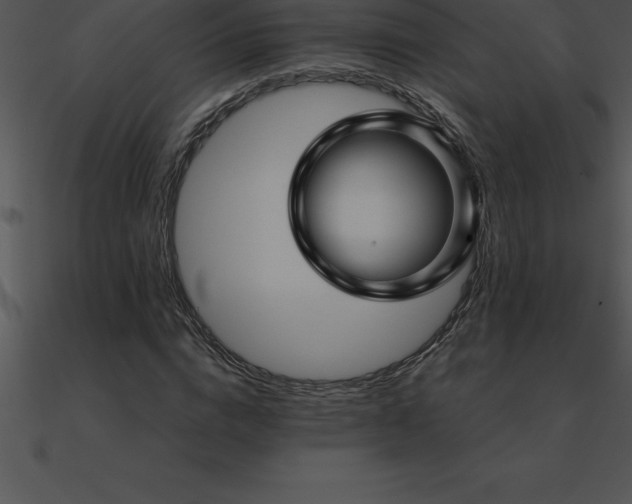 X0000090960824200708021414