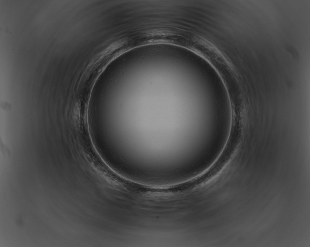 X0000090960825200708021414