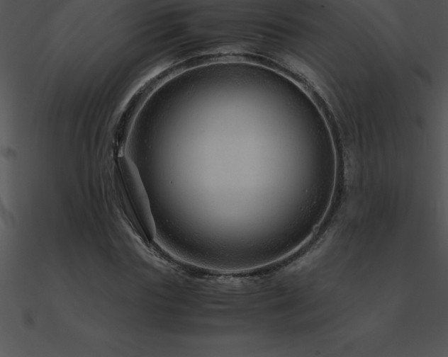 X0000090960827200708021414