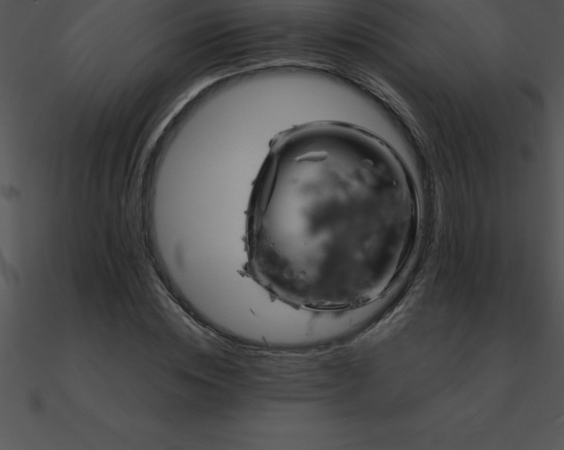 X0000090960828200708021414