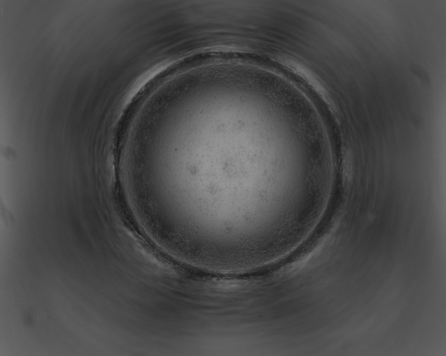 X0000090960829200708021414