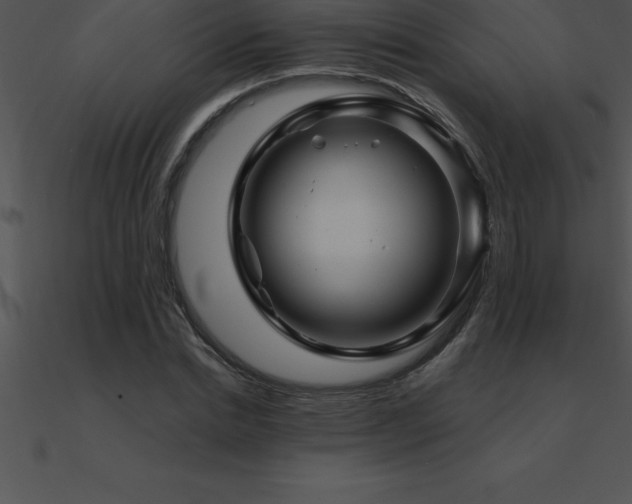 X0000090960830200708021414