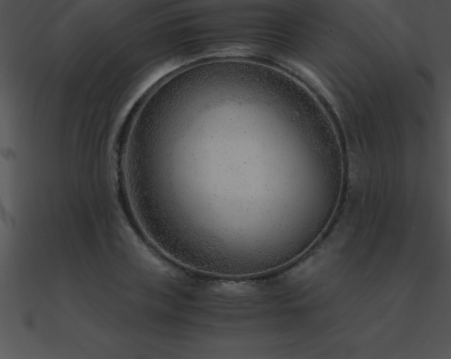 X0000090960835200708021414