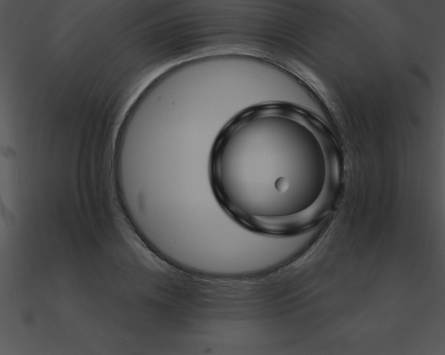 X0000090960836200708021414