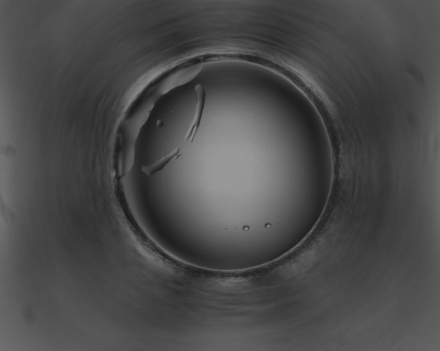X0000090960837200708021414