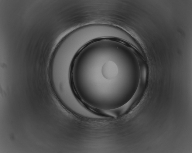 X0000090960838200708021414