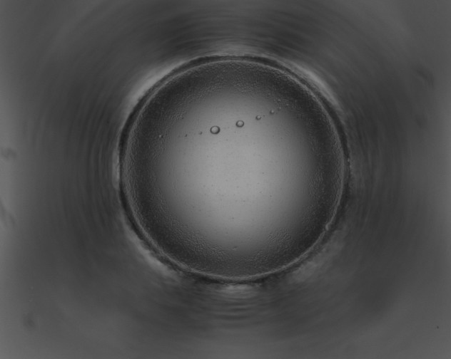 X0000090960839200708021414