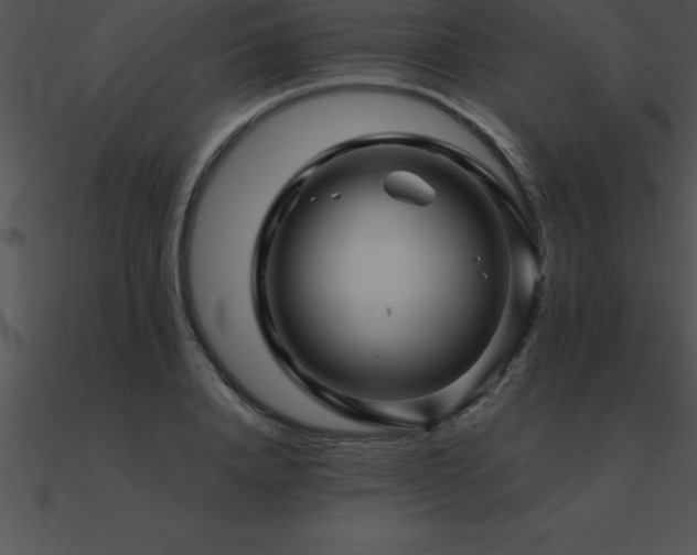 X0000090960840200708021414