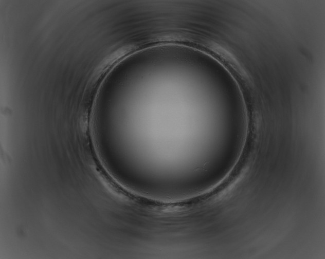 X0000090960841200708021414