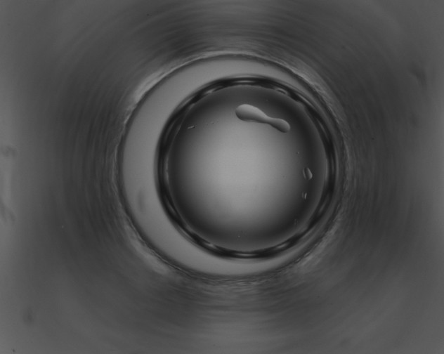 X0000090960842200708021414