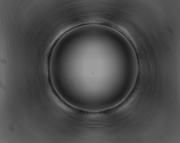X0000090960843200708021414