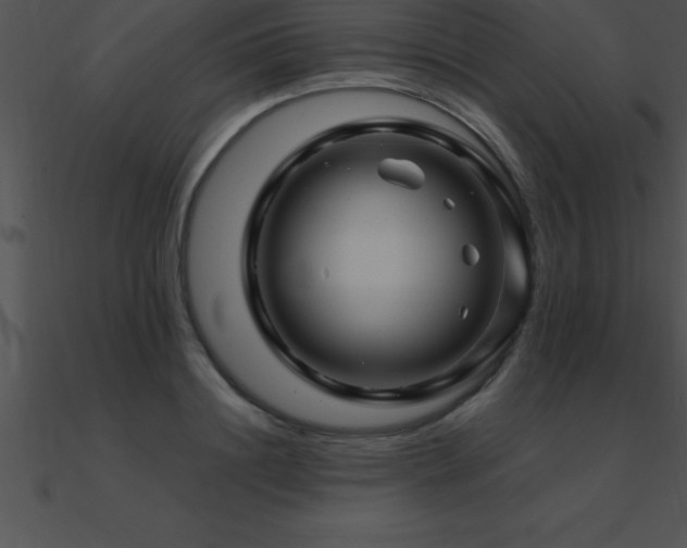 X0000090960844200708021414