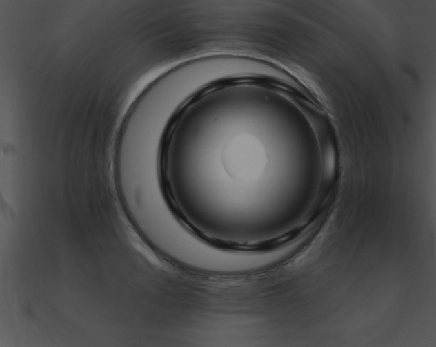 X0000090960846200708021414