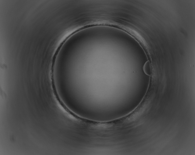 X0000090960847200708021414