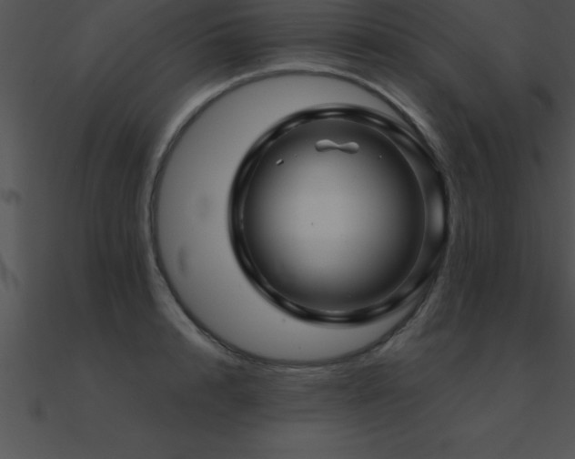 X0000090960848200708021414