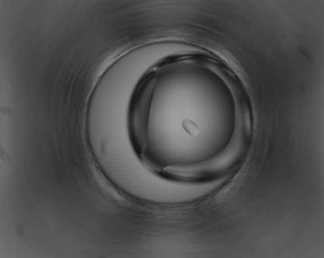 X0000090960850200708021414