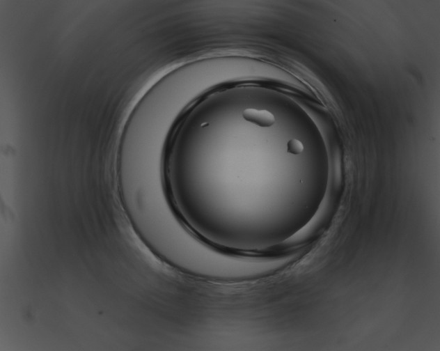 X0000090960852200708021414