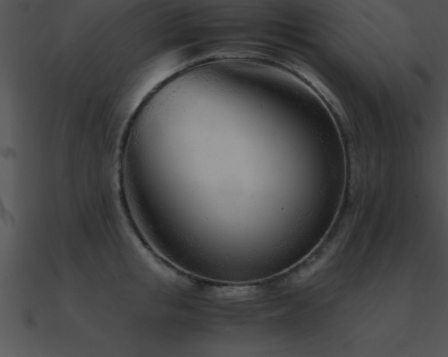 X0000090960853200708021414