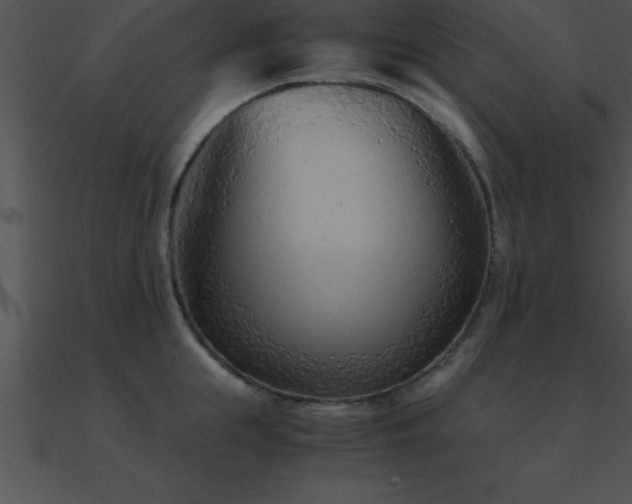 X0000090960855200708021414