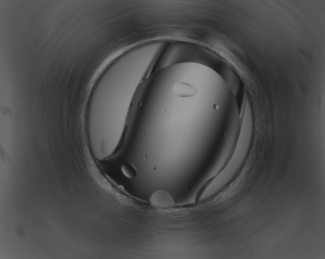 X0000090960856200708021414