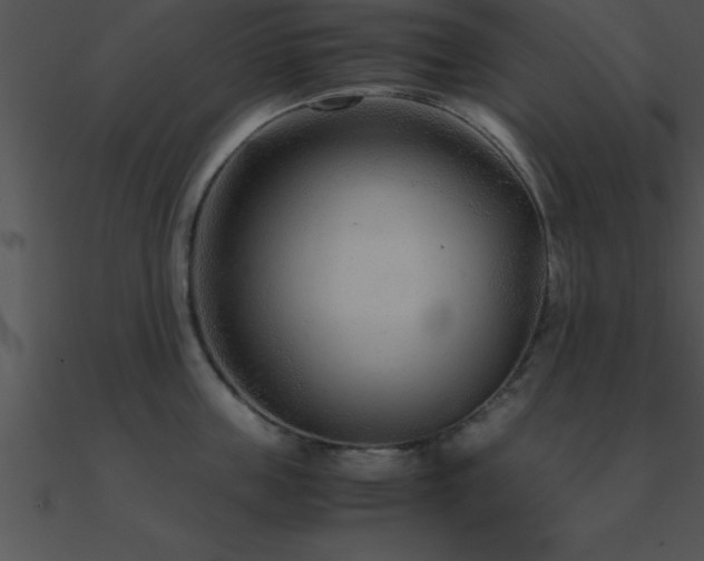 X0000090960859200708021415