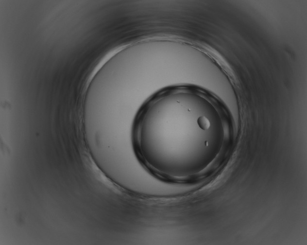 X0000090960860200708021415