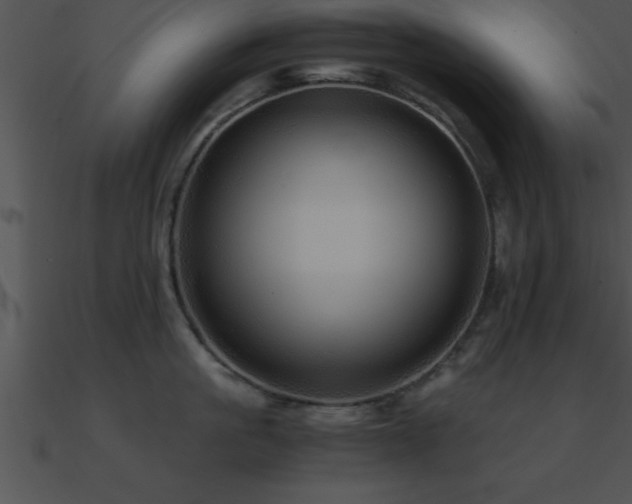 X0000090960861200708021415