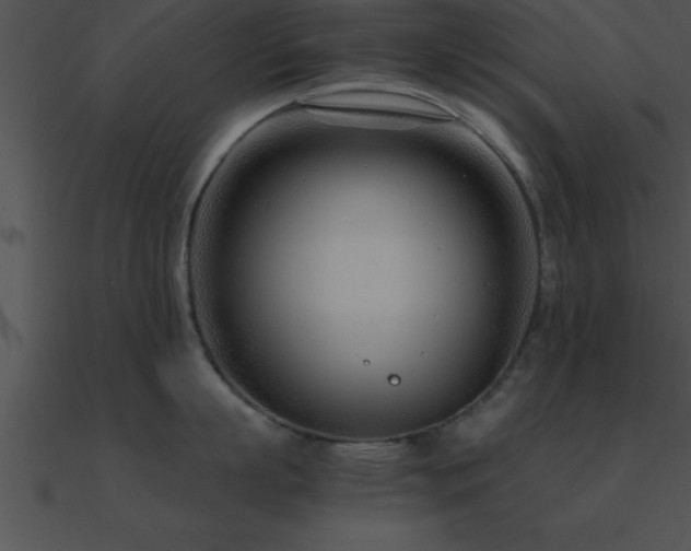 X0000090960863200708021415