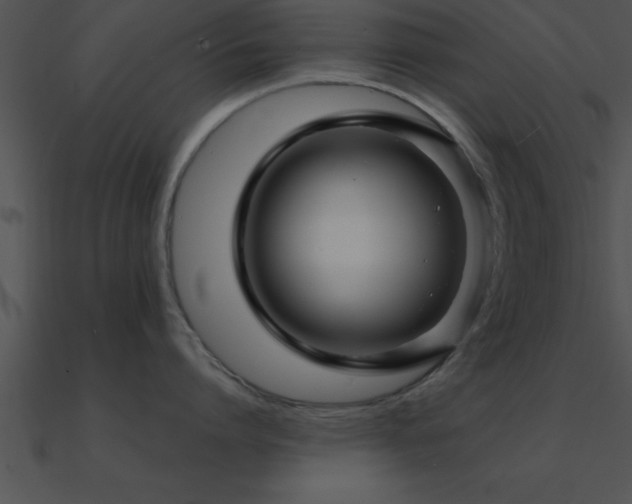 X0000090960864200708021415