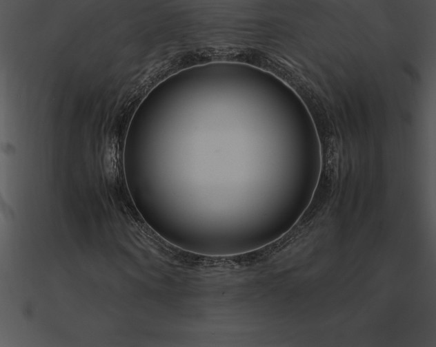 X0000090960866200708021414