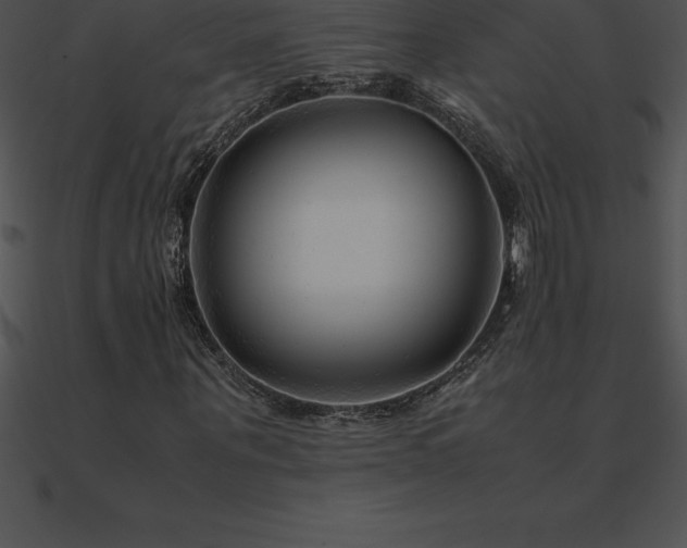 X0000090960867200708021414