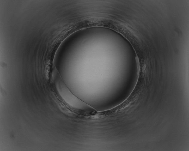 X0000090960868200708021414