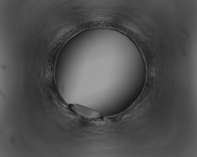 X0000090960869200708021414