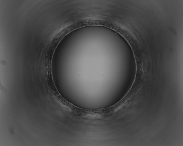 X0000090960870200708021414