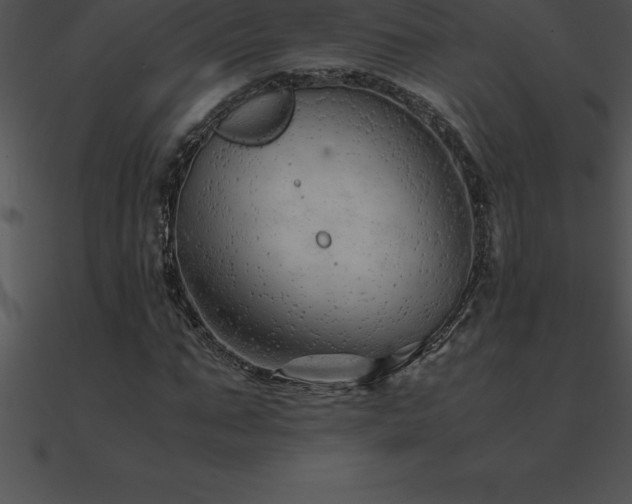 X0000090960871200708021414