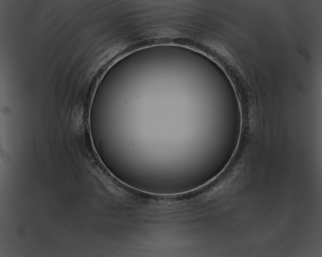 X0000090960873200708021414