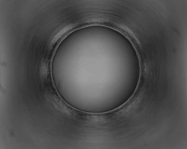 X0000090960874200708021414