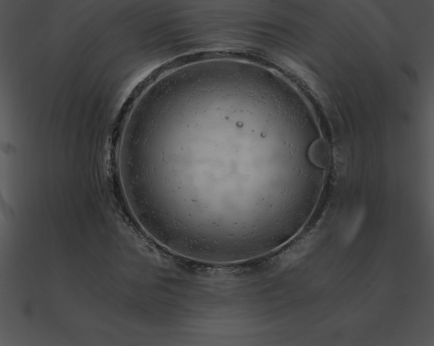 X0000090960875200708021414