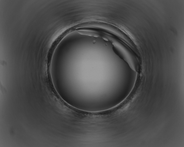 X0000090960877200708021414