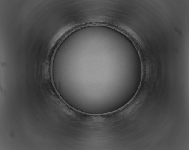 X0000090960878200708021414