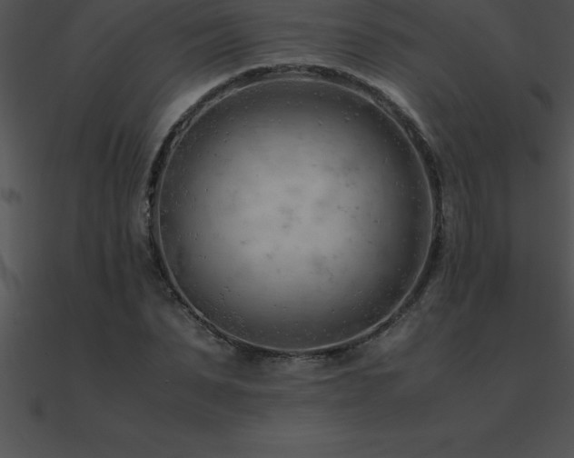 X0000090960879200708021414