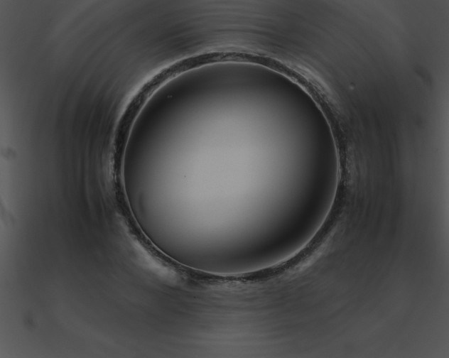 X0000090960880200708021414