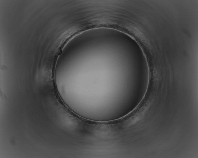 X0000090960881200708021414
