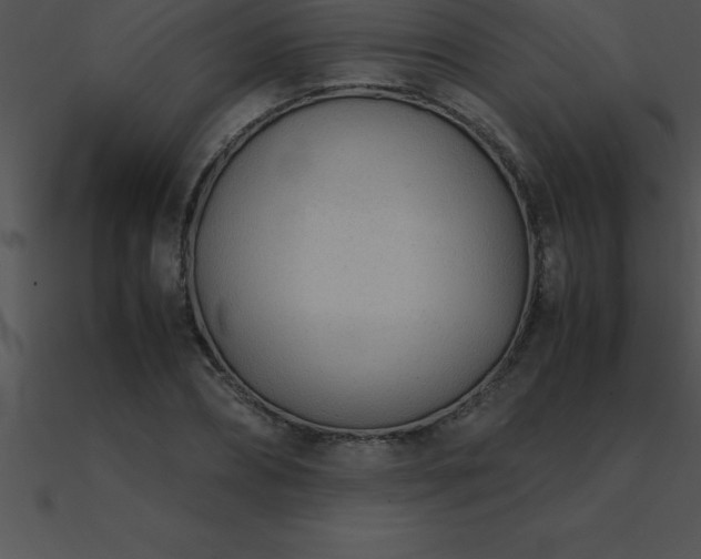 X0000090960882200708021414